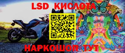 гашик Ипатово