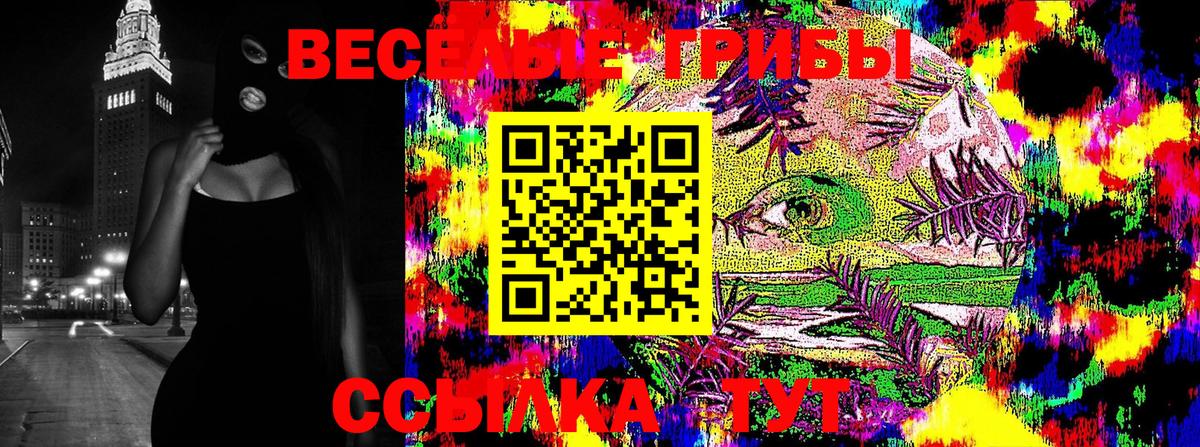 Псилоцибиновые грибы Psilocybine cubensis Балашов